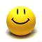 AYRIS