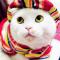 1248346