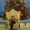 Коля Румынский