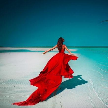 1186679